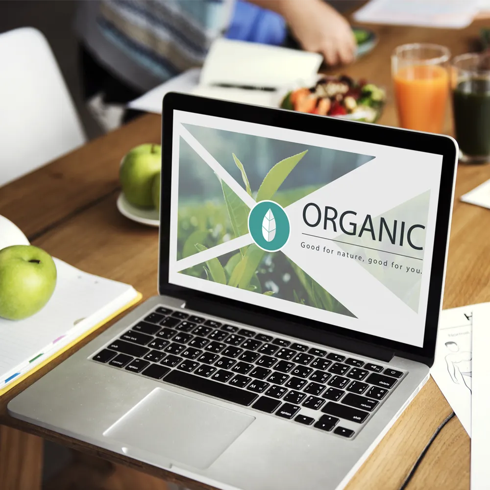 Ayurveda Wellness Products Digital Marketing